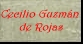 Sala Cecilio Guzm�n de Rojas
